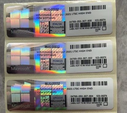 Windows 10/11 IOT ENT 2024 LTSC Software Für Windows 10 11 ENT 2019 2021 2024 LTSC Mehrsprachig weltweit Online-Aktivierung